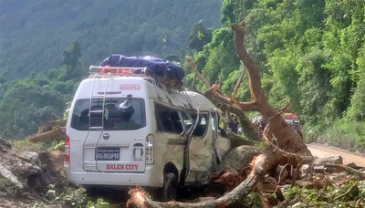 धादिङमा गुडिरहेको माइक्रो बसमाथि रुख ढल्दा ७ जना घाइते