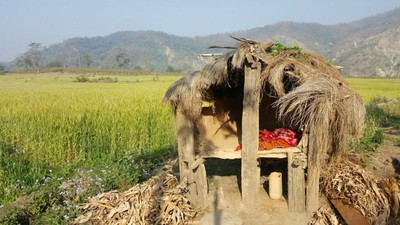 अछाममा छाउगोठमा बसेकी किशोरी बलात्कृत, १७ वर्षीय किशोर पक्राउ