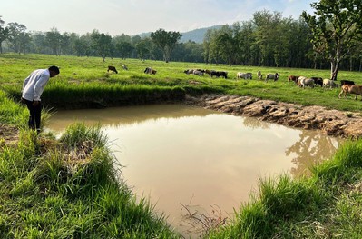 वन्यजन्तुका लागि जङ्गलमै पोखरी निर्माण