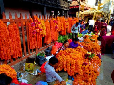 काठमाडौंमा प्लाष्टिकका फूल बेच्न रोक, महानगरले तोक्यो फूल बेच्न ४६ स्थान