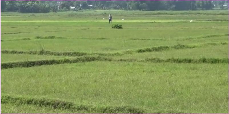 रु एक करोड ५० लाख जग्गा आँखा उपचार केन्द्रलाई दान