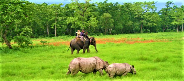 चितवन राष्ट्रिय निकुञ्जभित्र नमूना घाँसे मैदान बनाउने