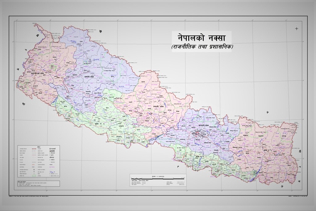 नवनिर्वाचित जनप्रतिनिधिहरू ४१ देखि ५० वर्ष उमेर समूहका बढी