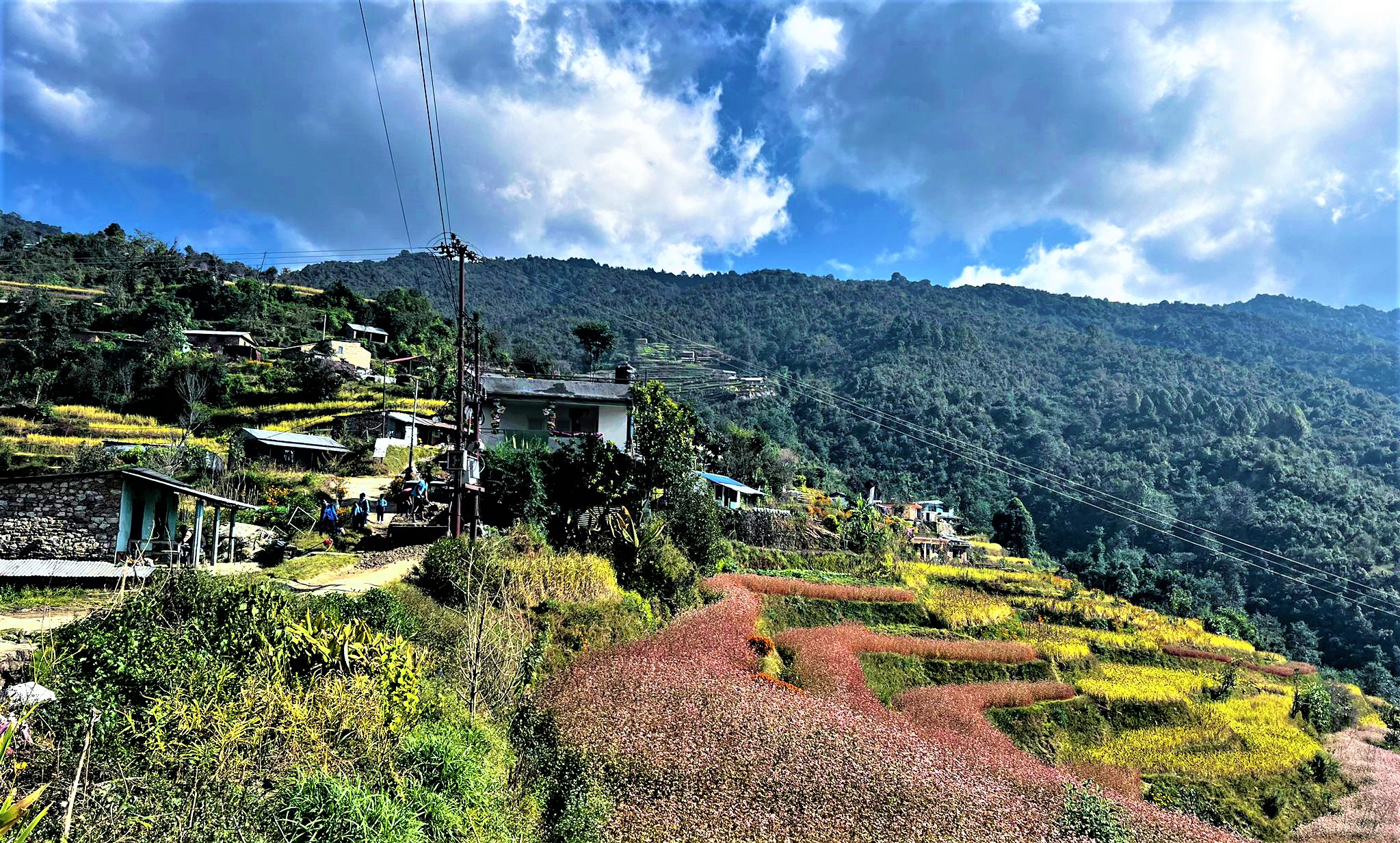 विकासको ओझेलमा काठमाडौँको  ओख्रेनी