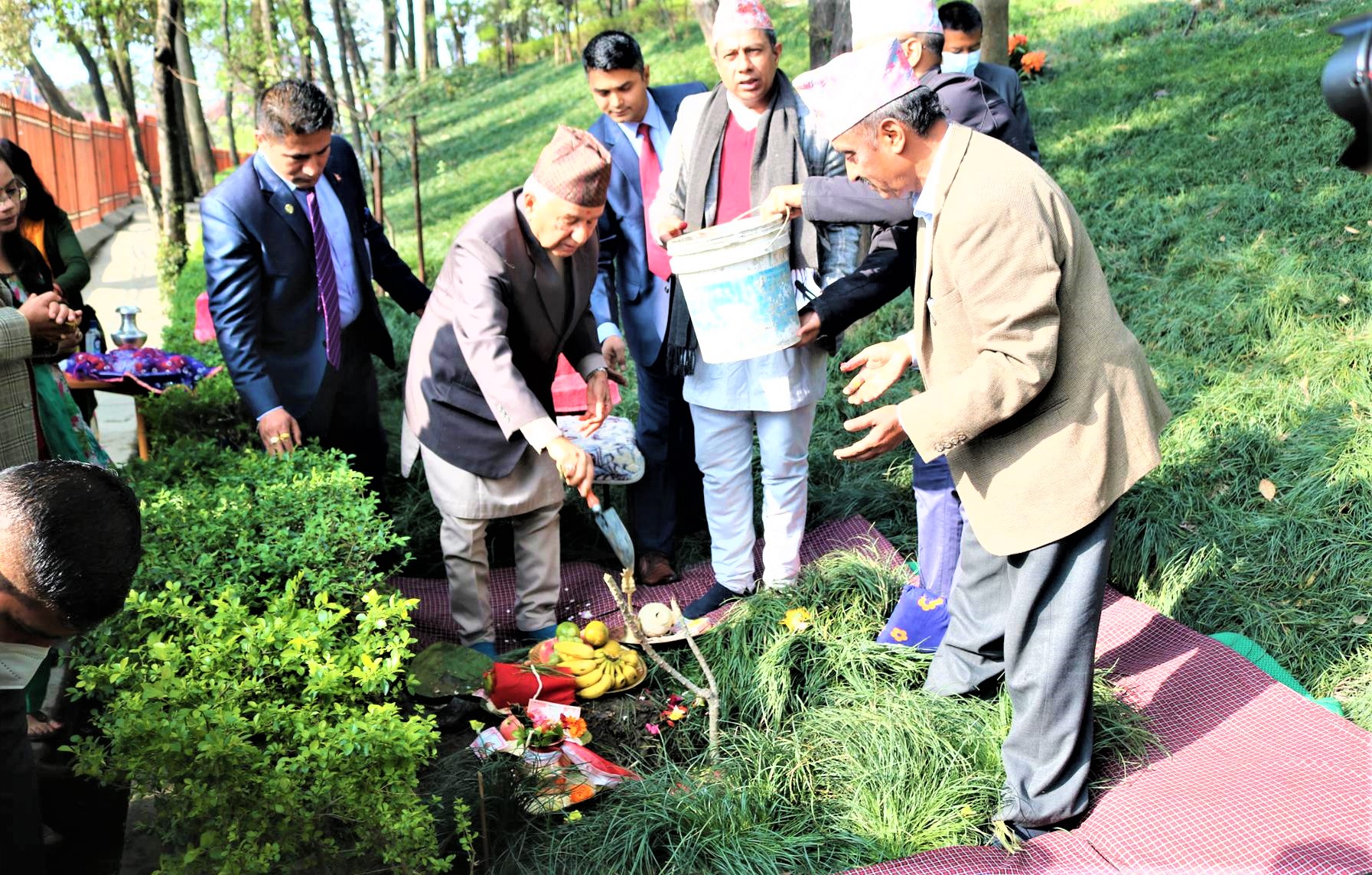 राष्ट्रपति पौडेलद्वारा वनकालीमा वृक्षरोपण