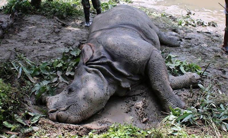 रुसी सेनामा भर्ना भएका स्याङ्जाका एक युवकको मृत्यु